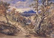 Anthony Vandyck Copley Fielding Scence in Glen Falloch,Argyllshire (mk47) oil painting picture wholesale